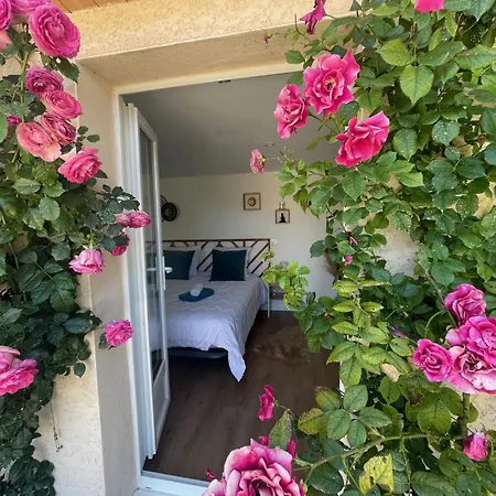 Pavillon T2 Climatise Prázdninový dům Villefranche-de-Lauragais